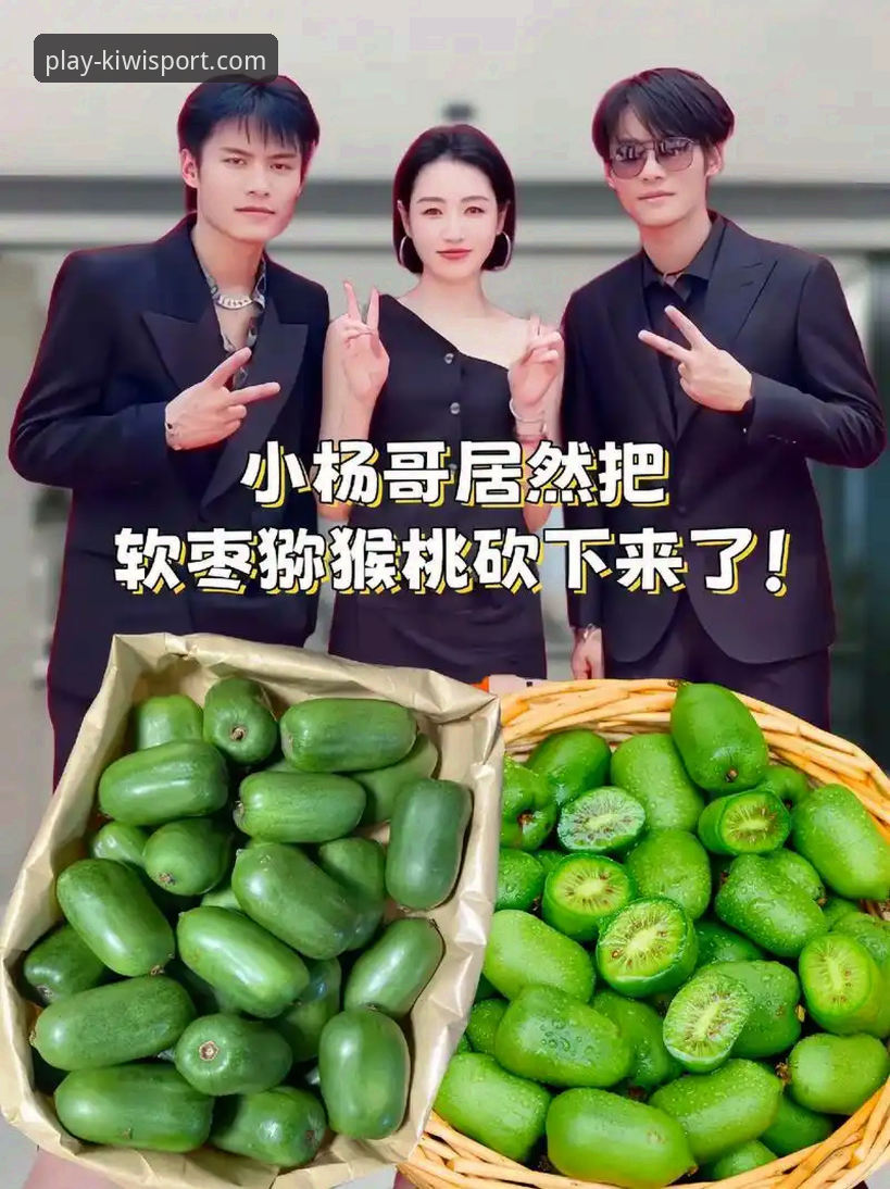 奇异果体育官网入口使用指南：从下载到直播的完整实用技巧