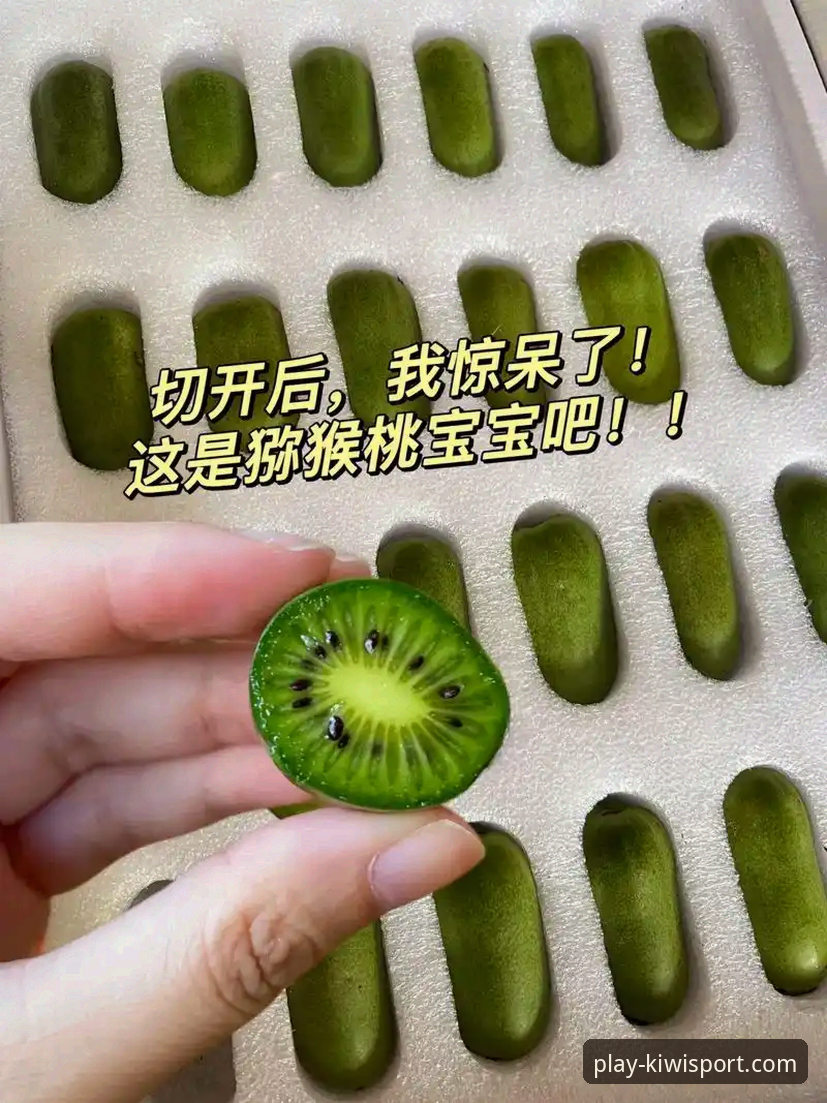 老用户亲测分享：奇异果体育平台到底靠不靠谱？从下载到体验的全方位心得