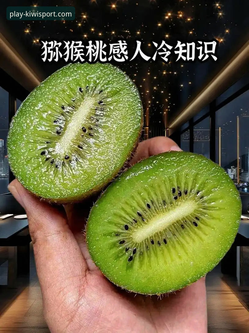 奇异果体育平台官网安装与使用评测详解