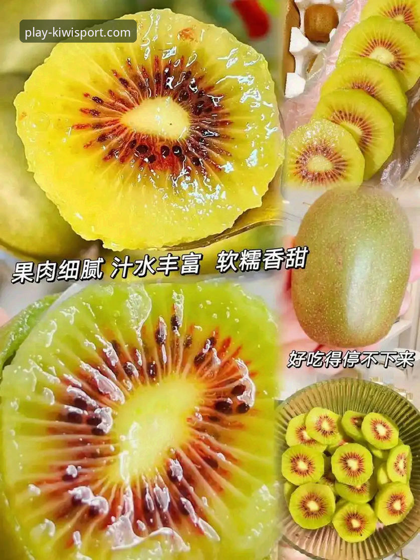 奇异果体育官网安全吗最新版？从技术架构看行业安全新趋势