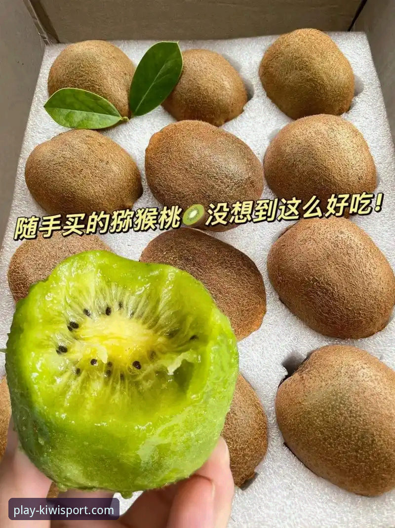 如何高效完成奇异果体育官网体验安装教程，开启移动观赛新体验？